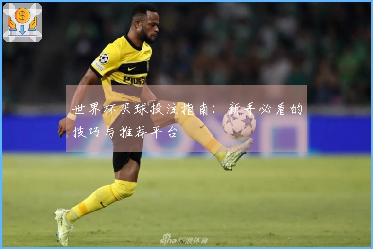 世界杯买球投注指南：新手必看的技巧与推荐平台