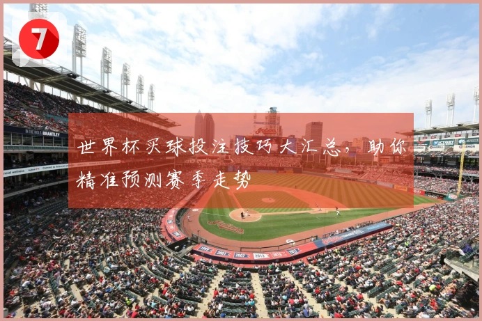 世界杯买球投注技巧大汇总，助你精准预测赛季走势