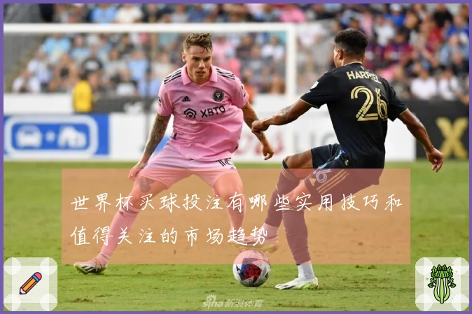 世界杯买球投注有哪些实用技巧和值得关注的市场趋势