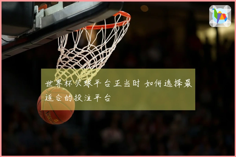 世界杯买球平台正当时 如何选择最适合的投注平台