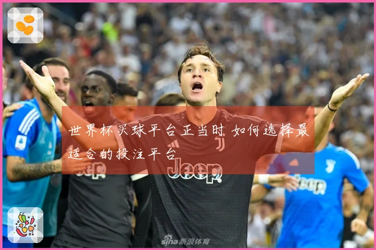 世界杯买球平台正当时 如何选择最适合的投注平台