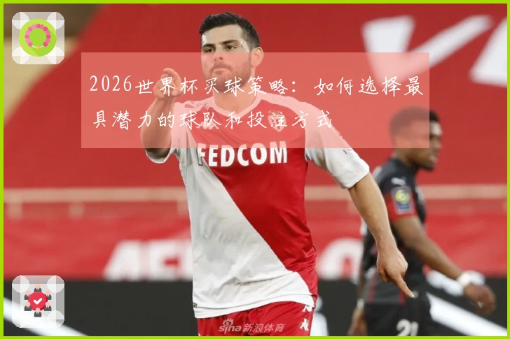 2026世界杯买球策略：如何选择最具潜力的球队和投注方式