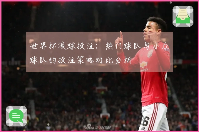 世界杯滚球投注：热门球队与小众球队的投注策略对比分析