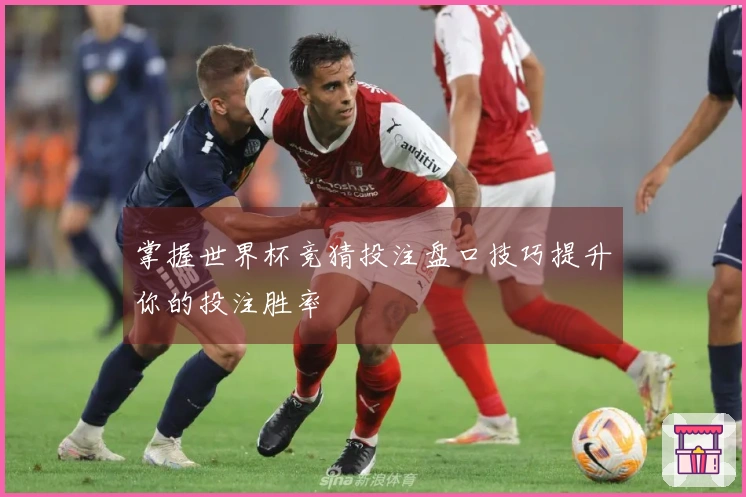 掌握世界杯竞猜投注盘口技巧提升你的投注胜率