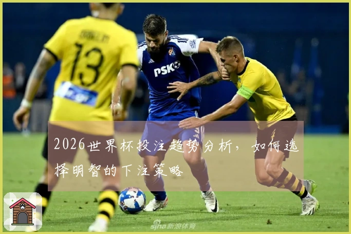 2026世界杯投注趋势分析，如何选择明智的下注策略