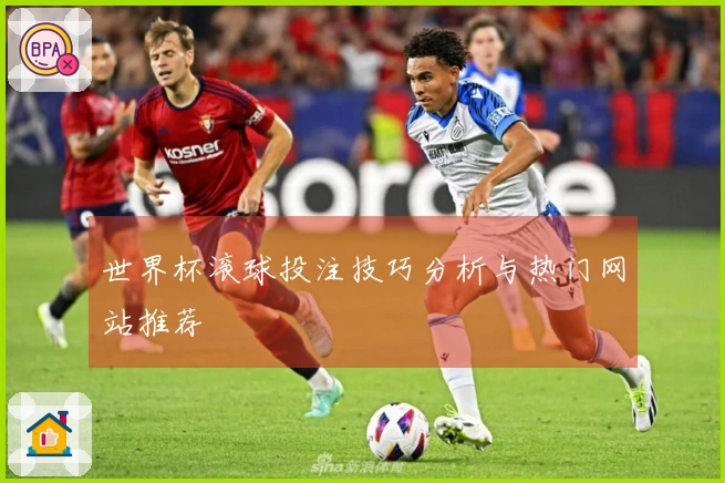 世界杯滚球投注技巧分析与热门网站推荐