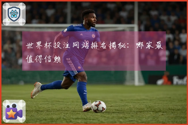 世界杯投注网站排名揭秘：哪家最值得信赖