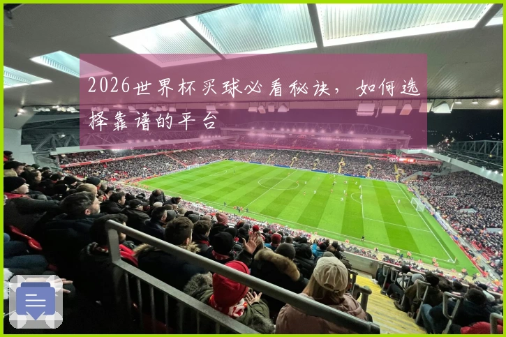 2026世界杯买球必看秘诀，如何选择靠谱的平台