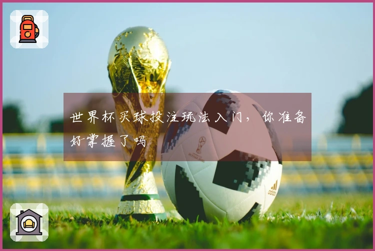 世界杯买球投注玩法入门，你准备好掌握了吗