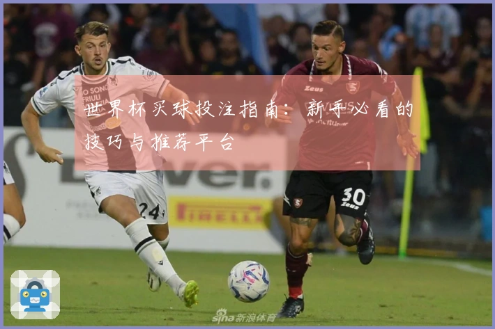 世界杯买球投注指南：新手必看的技巧与推荐平台