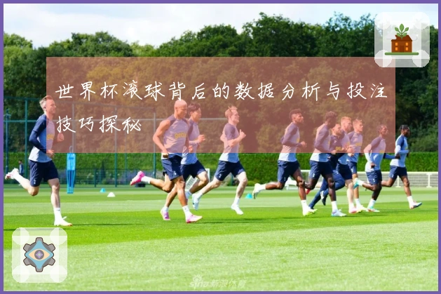 世界杯滚球背后的数据分析与投注技巧探秘
