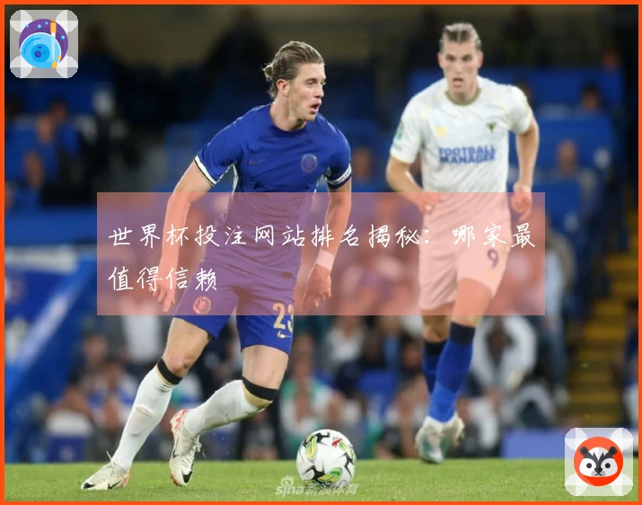 世界杯投注网站排名揭秘：哪家最值得信赖